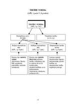 Konspekts 'Adminitratīvais process shēmās', 13.