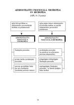 Konspekts 'Adminitratīvais process shēmās', 22.