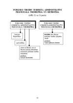 Konspekts 'Adminitratīvais process shēmās', 23.