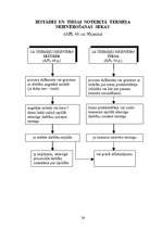 Konspekts 'Adminitratīvais process shēmās', 32.