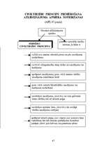 Konspekts 'Adminitratīvais process shēmās', 65.