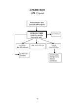 Konspekts 'Adminitratīvais process shēmās', 68.