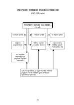 Konspekts 'Adminitratīvais process shēmās', 69.