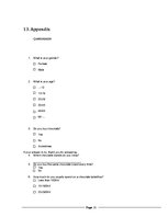 Referāts 'Danish Market Research for Kalev Company', 31.