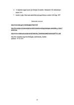 Referāts 'Šengenas līgums', 16.