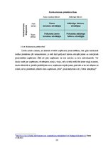 Diplomdarbs 'Skaistumkopšanas salona "Beldona" konkurētspējas paaugstināšana Balvu pilsētā', 26.