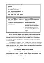 Diplomdarbs 'Skaistumkopšanas salona "Beldona" konkurētspējas paaugstināšana Balvu pilsētā', 41.