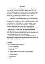 Konspekts 'Maikls Porters un viņa stratēģiskā sistēma', 2.