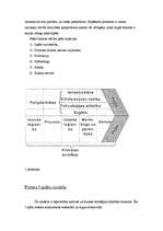 Konspekts 'Maikls Porters un viņa stratēģiskā sistēma', 4.