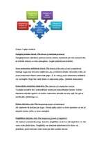 Konspekts 'Maikls Porters un viņa stratēģiskā sistēma', 5.