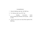 Eseja 'Neverbālie izteiksmes līdzekļi', 5.