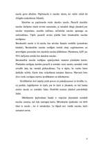 Referāts 'Latvijas naudas vēsture un apgrozība pirms eiro ieviešanas', 4.