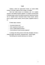 Referāts 'Organizācijas struktūru veidi', 3.