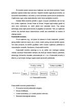 Referāts 'Organizācijas struktūru veidi', 5.