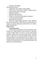 Referāts 'Organizācijas struktūru veidi', 6.