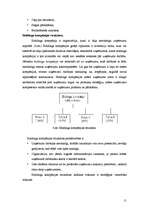 Referāts 'Organizācijas struktūru veidi', 11.