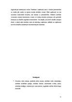 Referāts 'Organizācijas struktūru veidi', 13.