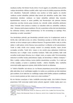 Diplomdarbs 'Politiskā režīma dinamika Krievijā V.Putina un D.Medvedeva prezidentūru laikā', 9.