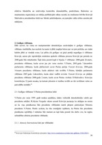 Diplomdarbs 'Politiskā režīma dinamika Krievijā V.Putina un D.Medvedeva prezidentūru laikā', 30.