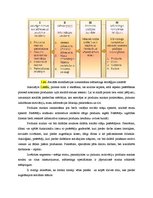 Konspekts 'Patērētāju stratifikācija', 4.