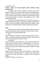 Referāts 'Uzņēmuma SIA "Vilori" analīze un tā vadīšana pārmaiņu apstākļos', 10.