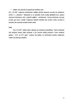 Referāts 'Uzņēmuma SIA "Vilori" analīze un tā vadīšana pārmaiņu apstākļos', 11.