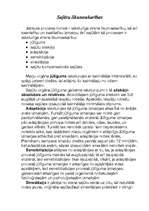 Referāts 'Sajūtas', 8.