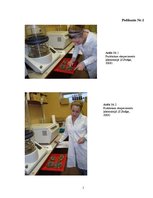 Referāts 'Ķīnas cimdiņkrabja Eriocheir sinensis izplatība, struktūra, skaits un biomasa Rī', 1.