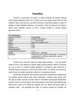 Konspekts 'Travertīns', 4.