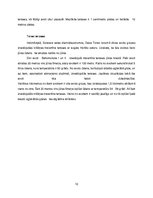 Konspekts 'Travertīns', 10.