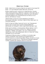 Eseja 'Животные Латвии', 1.