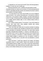 Eseja 'Uzņēmuma "McDonalds" stratēģija', 2.