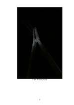 Referāts 'Vanšu tilts', 7.