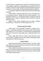 Referāts 'Vanšu tilts', 15.