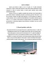 Referāts 'Vanšu tilts', 16.