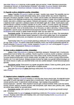 Konspekts 'Bioloģiskā daudzveidība. Botānika', 6.