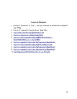 Referāts 'Īres namu arhitektūra 20.gadsimta sākumā', 20.