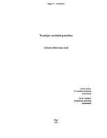 Referāts 'Tunisijas etniskās īpatnības', 1.