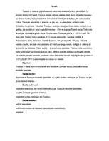 Referāts 'Tunisijas etniskās īpatnības', 3.