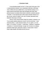 Referāts 'Tunisijas etniskās īpatnības', 4.