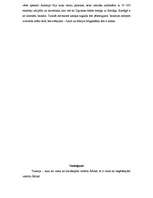 Referāts 'Tunisijas etniskās īpatnības', 20.