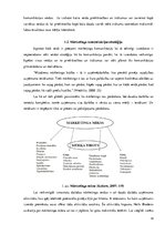 Referāts 'Sociālo mediju pielietojums AS "SEB banka" mārketinga komunikācijā', 14.