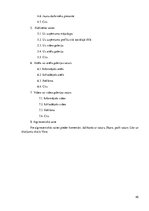 Referāts 'Sociālo mediju pielietojums AS "SEB banka" mārketinga komunikācijā', 45.