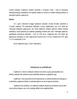 Referāts 'Uzņēmums SIA "NP Foods"', 13.