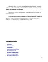 Referāts 'Uzņēmums SIA "NP Foods"', 14.