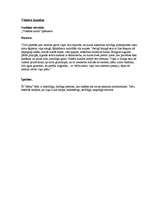 Konspekts 'Onorē de Balzaks "Gorio tēvs"', 7.