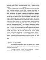 Referāts 'Baltijas jūras piesārņošana ar naftas produktiem un tās likvidācijas paņēmieni', 8.