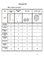 Referāts 'Baltijas jūras piesārņošana ar naftas produktiem un tās likvidācijas paņēmieni', 33.
