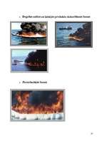 Referāts 'Baltijas jūras piesārņošana ar naftas produktiem un tās likvidācijas paņēmieni', 35.