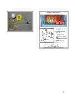 Referāts 'Baltijas jūras piesārņošana ar naftas produktiem un tās likvidācijas paņēmieni', 38.